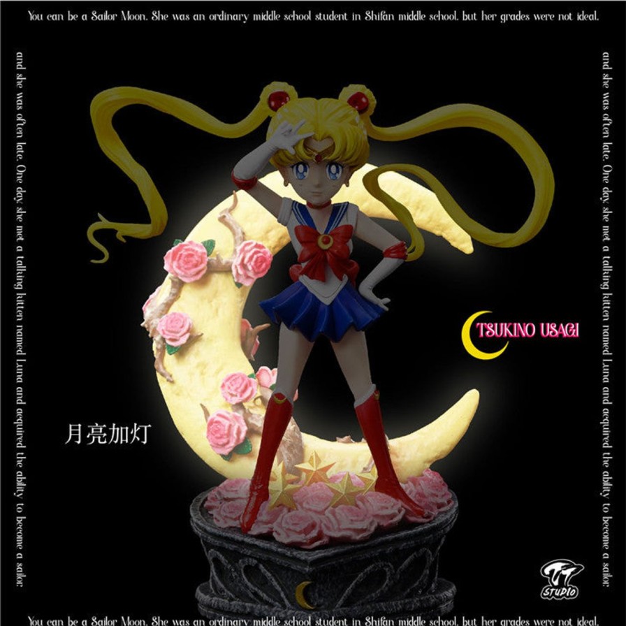 Anime TT Studio Sailor Moon Gk Figures | [Pre-Order] Sailor Moon Gk Figures - Sailormoon Tsukino Usagi Gk1509 | Gk Figure